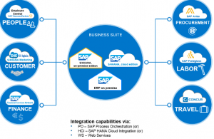 SAP Application Hosting