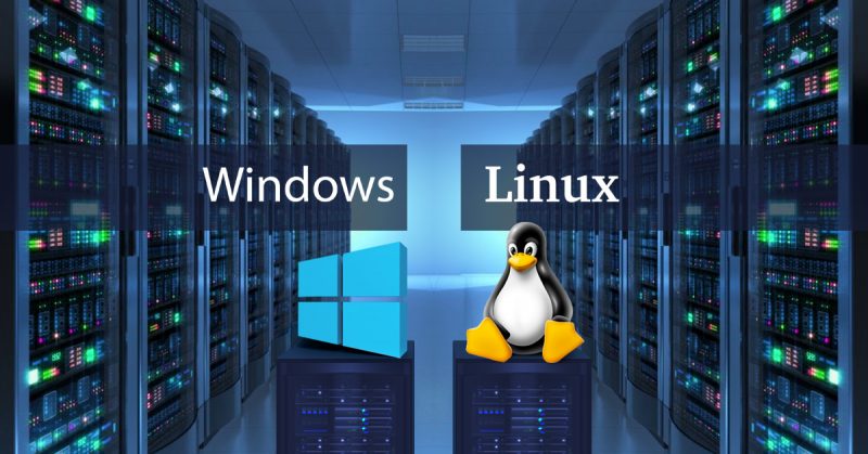 window linux server