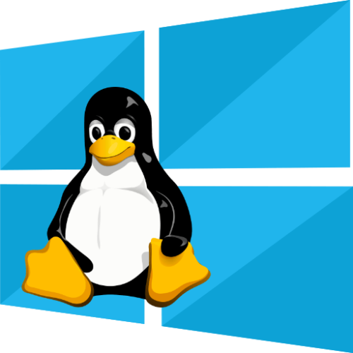 FAST-WINDOWS-LINUX-VPS
