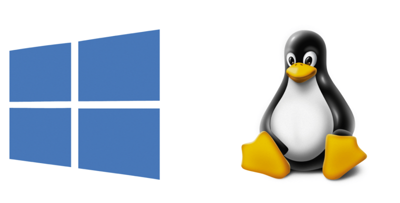Issues Facing Linux and Windows