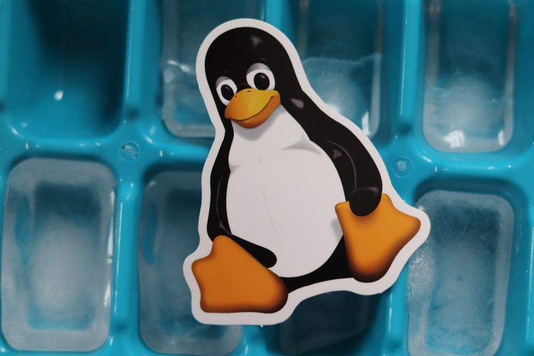 How to Detect Malware on Linux VPS Servers