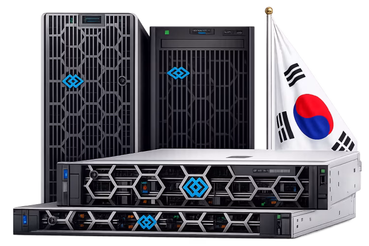 VPS South Korea Hosting Provider Arise Server Korea Data Center
