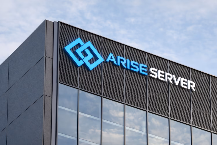 Why Choose Arise Server Hosting Provider